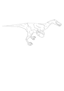 Dinosaurier Fossil Skelett