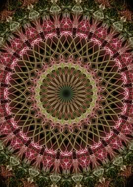 Red and brown mandala