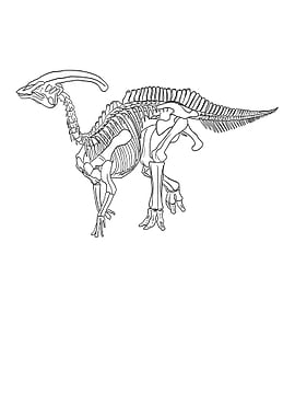 Dinosaurier Fossil Skelett
