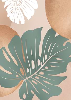 Monstera