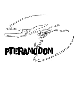 Dinosaurier Fossil Skelett