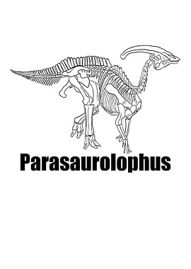 Dinosaurier Fossil Skelett