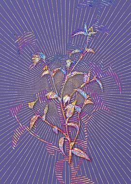 Commelina Africana Mosaic