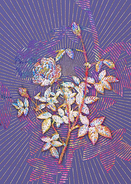 Blooming Moss Rose Mosaic