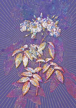 Blooming Musk Rose Mosaic