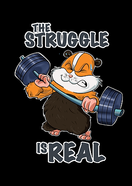 Guinea Pig Fitness Gym