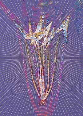 Arrowhead Mosaic Botanical