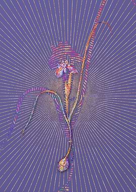 Barbary Nut Mosaic Floral