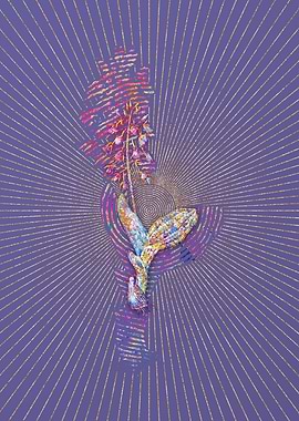 Brown Widelip Orchid