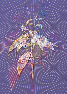 Commelina Zanonia Mosaic