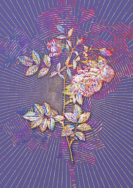 Blooming Turnip Roses