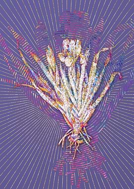 Crimean Iris Mosaic 2