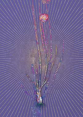 Allium Foliosum Mosaic