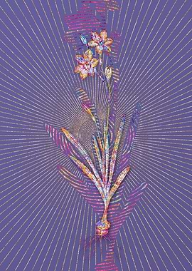 Coppertips Mosaic Floral