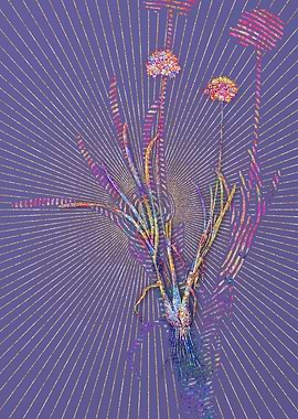 Allium Carolinianum Mosaic