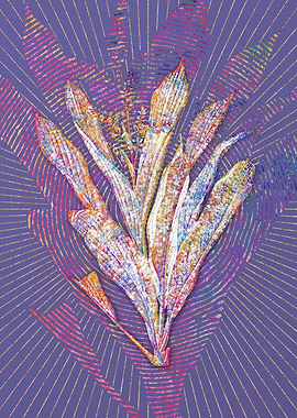 Cordyline Fruticosa Mosaic