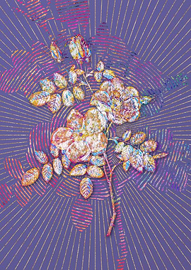 Austrian Briar Rose Mosaic