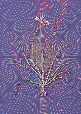 Allium Fragrans Mosaic