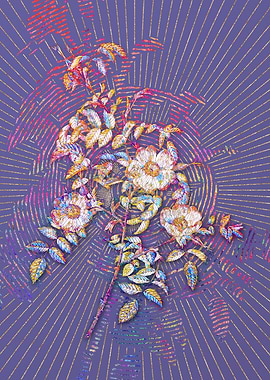 Blooming Reddish Rosebush