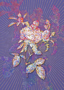 Cabbage Rose Mosaic Flower