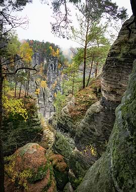 Elbe sandstone