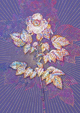 Blooming Rose Mosaic