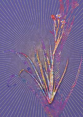 Bermudiana Mosaic Flower