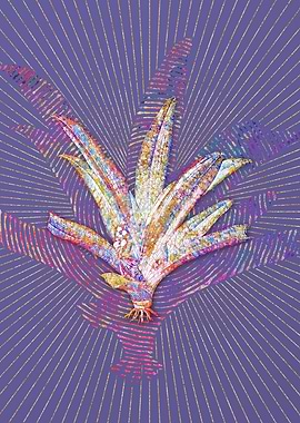 Boat Lily Mosaic Botanical