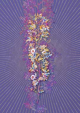 Cuspidate Rose Mosaic