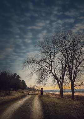 Lonely nomad walking
