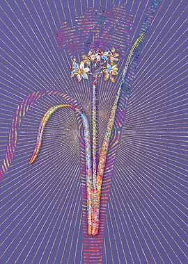 Cowslip Cupped Daffodil