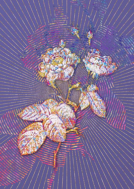 Anemone Rose Mosaic Floral