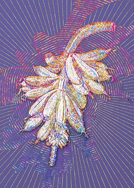 Banana Mosaic Botanical