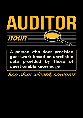 Auditor Definition