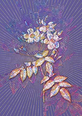 Blooming Musk Rose Mosaic