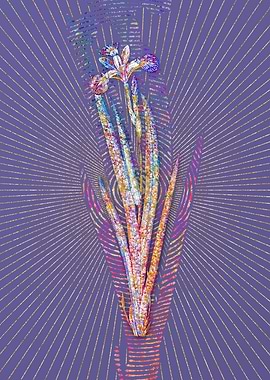 Harlequin Blueflag Mosaic