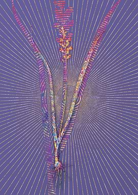 Lachenalia Pallida Mosaic