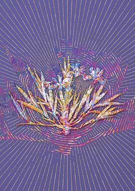 Dwarf Crested Iris Mosaic