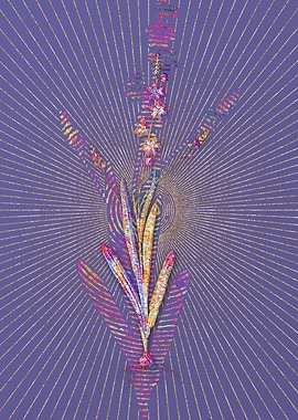 Ixia Scillaris Mosaic