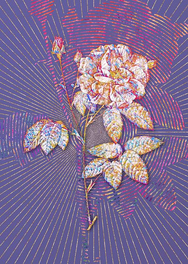 French Rose Mosaic Floral