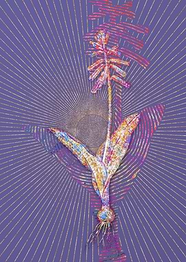 Lachenalia Pendula Mosaic