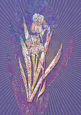 German Iris Mosaic Floral