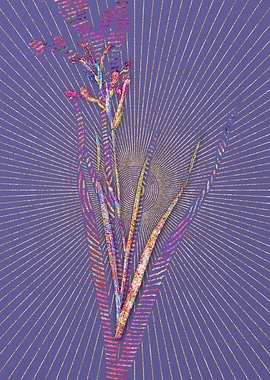 Gladiolus Cunonius Mosaic