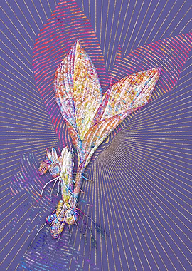 Koemferia Longa Mosaic