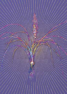 Lachenalia Angustifolia