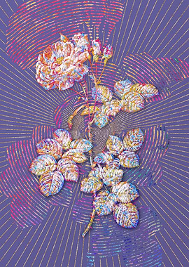 Damask Rose Mosaic Floral