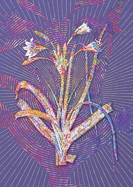 Malgas Lily Mosaic Flower