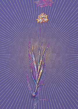 Orange Ixia Mosaic Flower