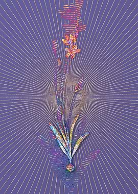 Mossel Bay Tritonia Mosaic