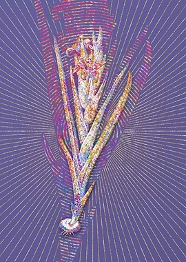 Ferraria Mosaic Botanical